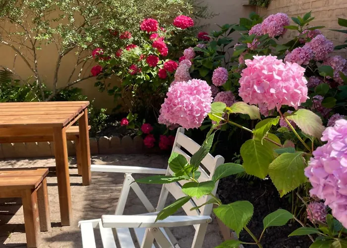 Villa Suzanne 奥尔特照片